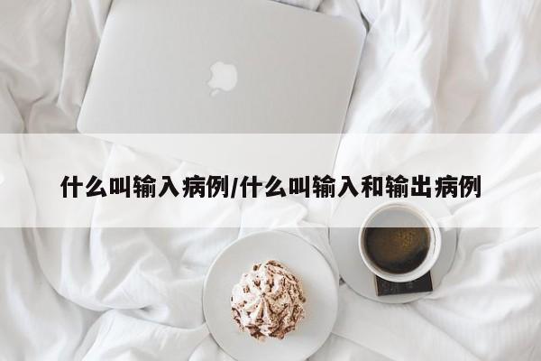 什么叫输入病例/什么叫输入和输出病例