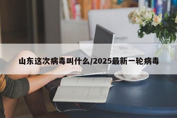 山东这次病毒叫什么/2025最新一轮病毒